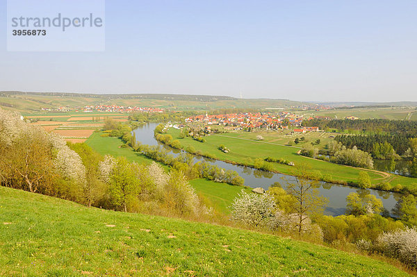 Mainschleife  Fahr am Main  Unterfranken  Bayern  Deutschland  Europa