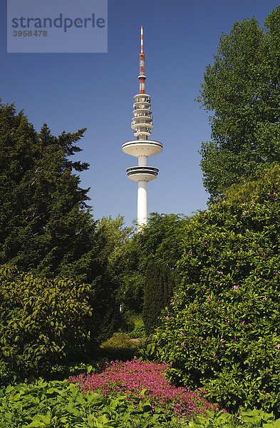 Parkanlage Planten un Blomen  hinten der Hamburger Fernsehturm  Heinrich-Hertz-Turm  Tele-Michel  Telemichel  Hamburg  Deutschland  Europa