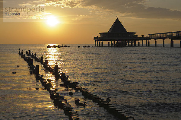 Seebrücke im Seebad Heringsdorf bei Sonnenaufgang  Insel Usedom  Mecklenburg-Vorpommern  Deutschland  Europa