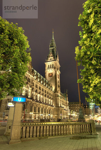 Das Hamburger Rathaus in Hamburg  Deutschland  Europa