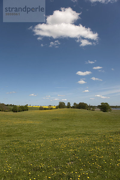 Frühling in der Landschaft Angeln  Östliches Hügelland  Schleswig-Holstein  Norddeutschland  Deutschland  Europa