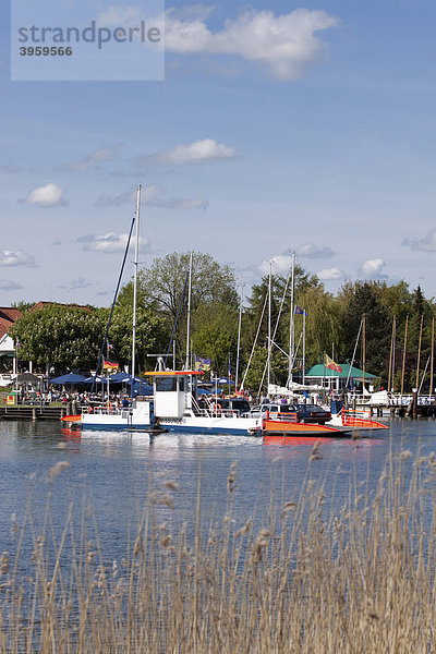 Personen- und Kfz-Fähre  Seilfähre mit hydraulischem Antrieb  über die Schlei bei Missunde  Schleswig-Holstein  Norddeutschland  Deutschland  Europa