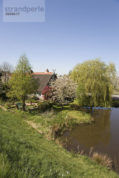 Idyllisch an einem Teich gelegenes Altländer Bauernhaus in Grünendeich  Altes Land  Niederelbe  Niedersachsen  Norddeutschland  Deutschland  Europa