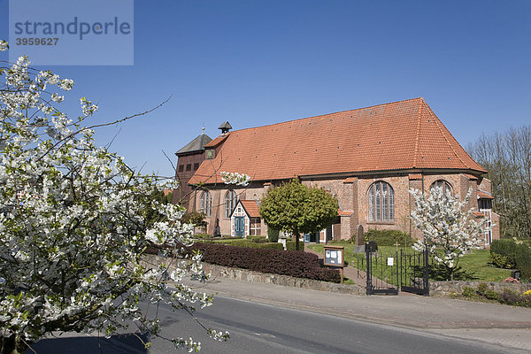 St Bartholomäus Kirche in Mittelnkirchen  Kirschblüte  Altes Land  Niederelbe  Niedersachsen  Norddeutschland  Deutschland  Europa