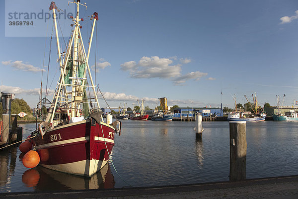 Krabbenkutter im Außenhafen von Husum  Schleswig-Holstein  Norddeutschland  Deutschland  Europa