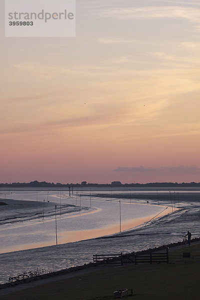 Der Heverstrom schlängelt sich durch das Watt zur Nordsee  Priggen kennzeichnen das Fahrwasser  Husum  Schleswig Holstein  Norddeutschland