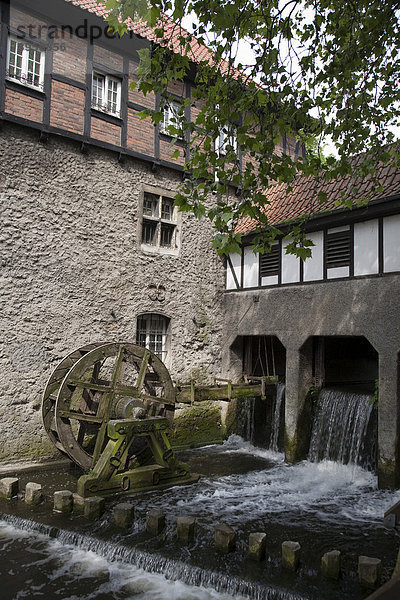 Wassermühle an der Stever in Lüdinghausen  Münsterland  Nordrhein-Westfalen  Deutschland  Europa