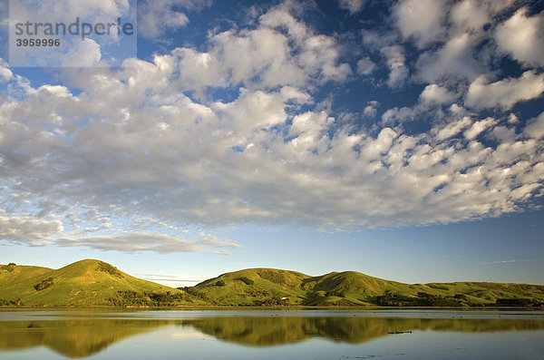Wolken und hügelige Felder gespiegelt im stillen Wasser der Papanui Inlet Bucht am frühen Morgen  Neuseeland