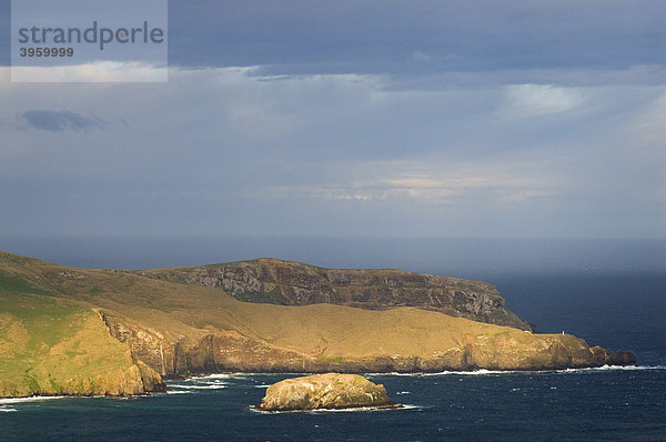 Die Felsen der Cape Saunders Landzunge im sanften Abendlicht  Otago Halbinsel  Neuseeland