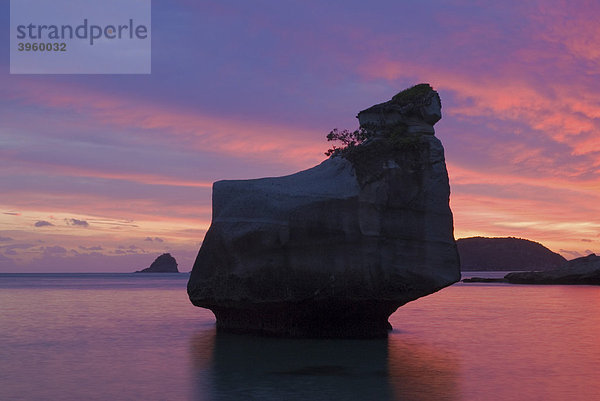 Farbenprächtiger Sonnenaufgang hinter den Felsnadeln an der Mares Leg Cove Bucht  Neuseeland