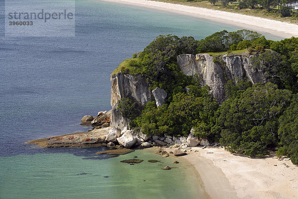 Küstenlandschaft nahe Cooks Beach  Coromandel Halbinsel  Neuseeland