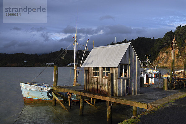 Bootshaus im letzten Abendlicht bei Coromandel Town  Neuseeland