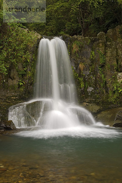 Waiau Falls Wasserfall nahe der 309 Straße im Norden der Coromandel Halbinsel  Neuseeland