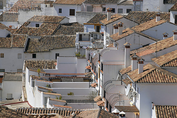 Dächer und Schornsteine in Ronda  Andalusien  Spanien  Europa