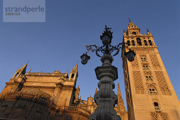 Giralda  der Kirchturm der Kathedrale von Sevilla  im sanften Licht des frühen Morgens und eine Straßenlaterne  Sevilla  Spanien  Europa