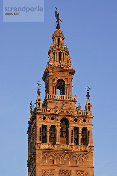 Giralda  der Kirchturm der Kathedrale von Sevilla  im sanften Licht des frühen Morgens  Sevilla  Spanien  Europa