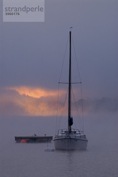 Segelboote und Nebel bei Sonnenaufgang über dem Ammersee  Bayern  Deutschland  Europa