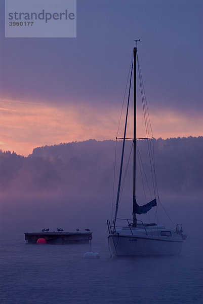 Segelboote und Nebel bei Sonnenaufgang über dem Ammersee  Bayern  Deutschland  Europa