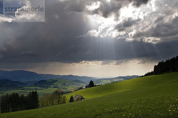 Gewitterwolken und Sonnenstrahlen  Schwarzwald  Baden-Württemberg  Deutschland