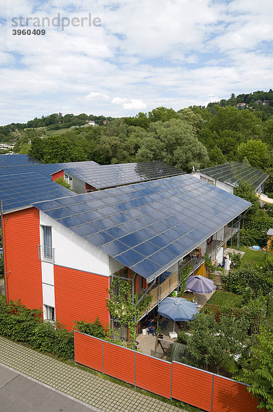 Solardächer der Solarsiedlung  Vauban  Freiburg  Baden-Württemberg  Deutschland  Europa