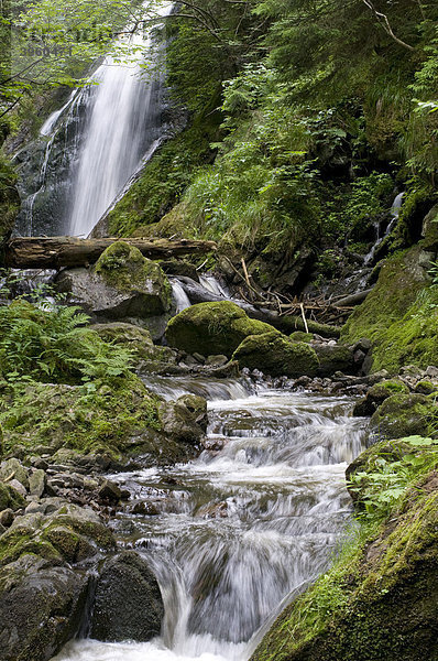 Wasserfall  Ravennaschlucht  Schwarzwald  Deutschland  Europa