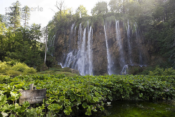 Großer Wasserfall an den Plitwitzer Seen  Nationalpark Plitwitzer Seen  Kroatien  Europa