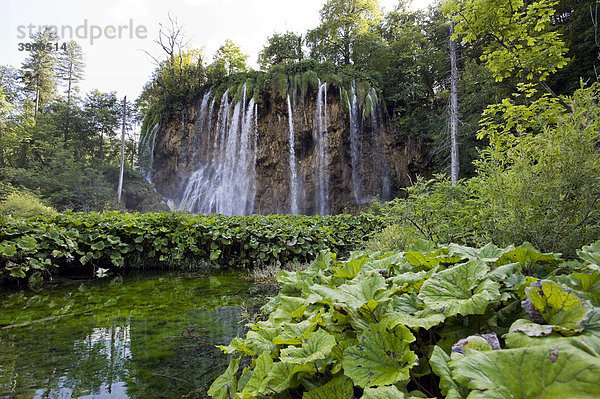 Großer Wasserfall an den Plitwitzer Seen  Nationalpark Plitwitzer Seen  Kroatien  Europa