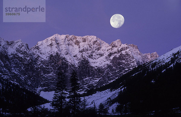 Karwendelgebirge im Morgenlicht mit Mond  Eng  Tirol  Österreich  Europa