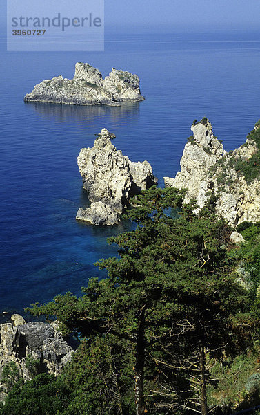 Felsküste bei Paleokastritsa  Insel Korfu  Griechenland  Europa