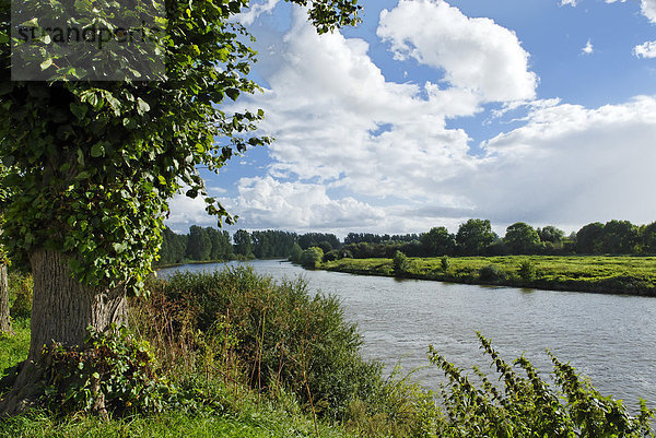 Weser bei Nienburg  Niedersachsen  Deutschland  Europa