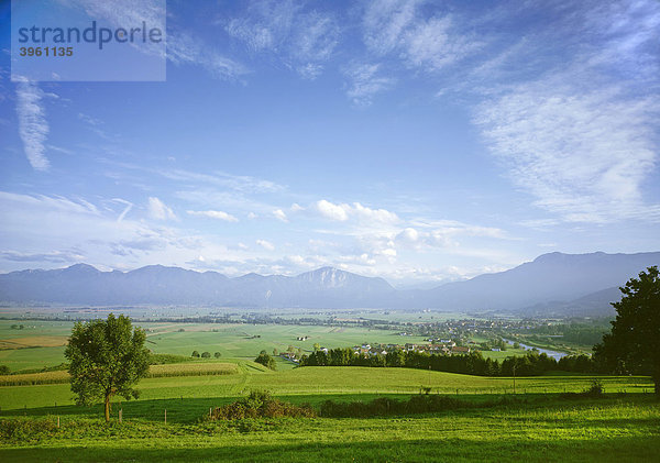 Von den Hügeln über Kleinweil auf Kochelseemoor mit Benediktenwand Rabenkopf Jochberg und Herzogstand  Oberbayern  Bayern  Deutschland  Europa