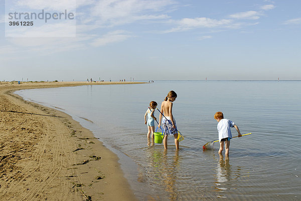 Kinder spazieren mit Fischernnetz und Eimer am Strand am Meer  Bibione  Adria  Venetien  Veneto  Italien  Europa