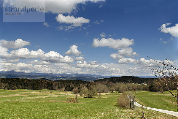 Rachel und Lusen von Langfurth  Bayerischer Wald  Niederbayern  Bayern  Deutschland