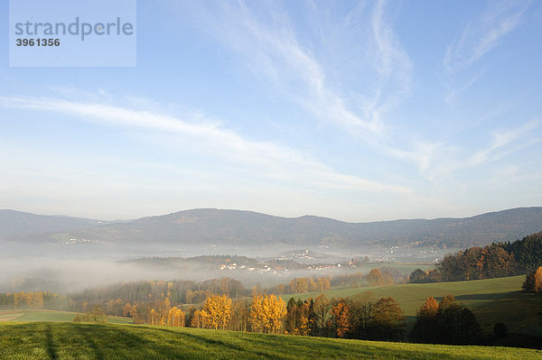 Lalling  Bayerischer Wald  Niederbayern  Bayern  Deutschland  Europa