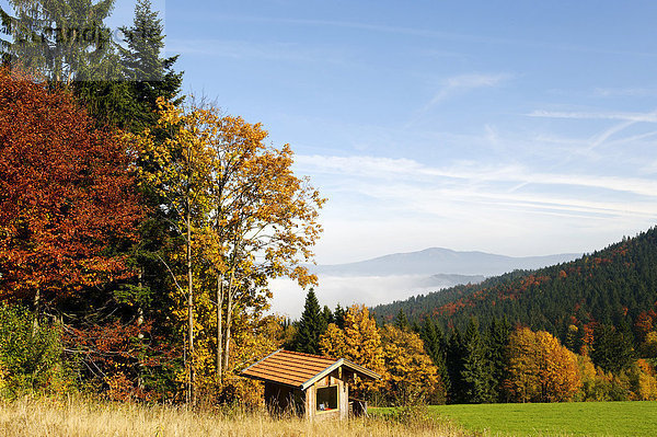 Ecksattel bei Arrach vor dem Osser  Bayerischer Wald  an der Grenze zwischen Niederbayern und Oberpfalz  Bayern  Deutschland  Europa