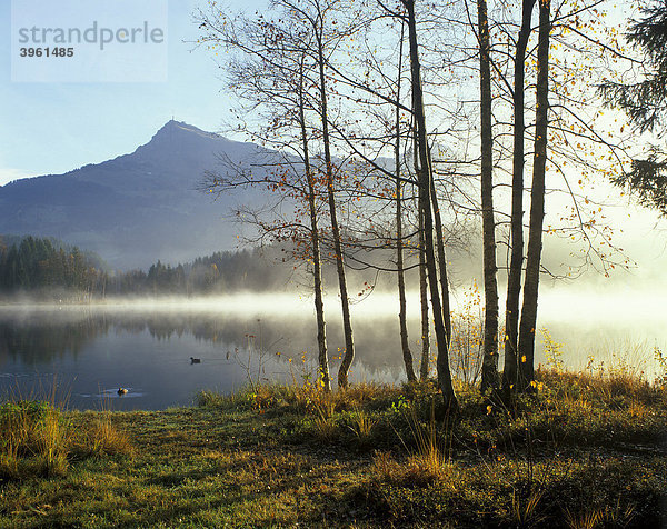 Schwarzsee bei Kitzbühl vor dem Kitzbühler Horn  Tirol  Österreich  Europa