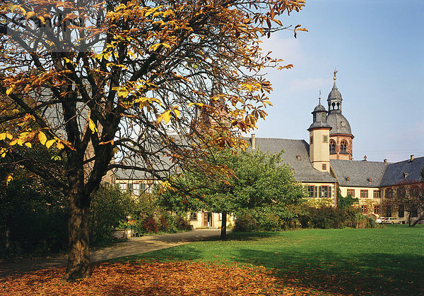 Ehemalige Benediktinerabtei St. Marcellinus und Petrus  Seligenstadt am Main  Hessen  Deutschland  Europa