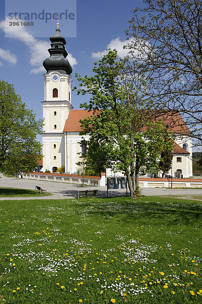 Pfarrkirche Mariä Himmelfahrt  Mariakirchen  Arnstorf  Niederbayern  Bayern  Deutschland  Europa