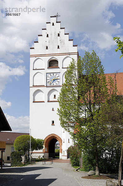 Pfarrkirche St. Michael  Reisbach  Niederbayern  Bayern  Deutschland  Europa