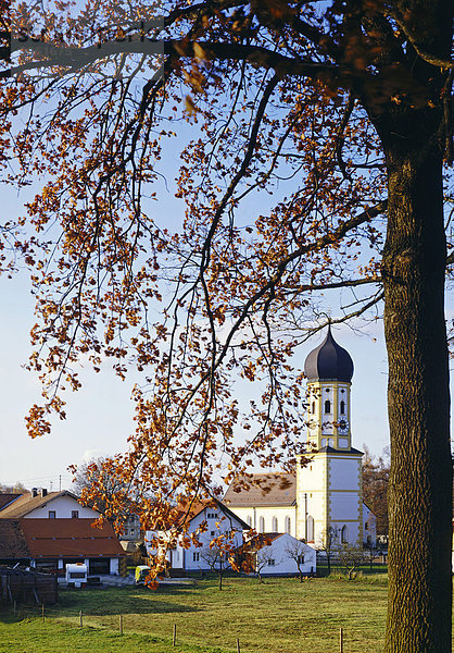 Pfarrkirche St. Andreas  Aying  Oberbayern  Bayern  Deutschland  Europa