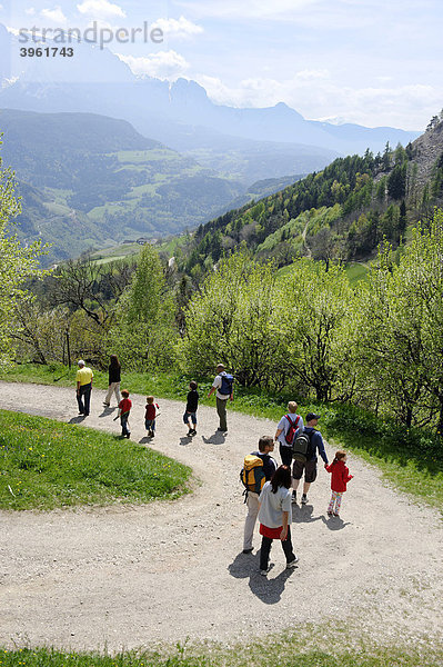 Am Weg von Barbian zu den Wasserfällen des Ganderbaches  Eisacktal  Südtirol  Italien  Europa