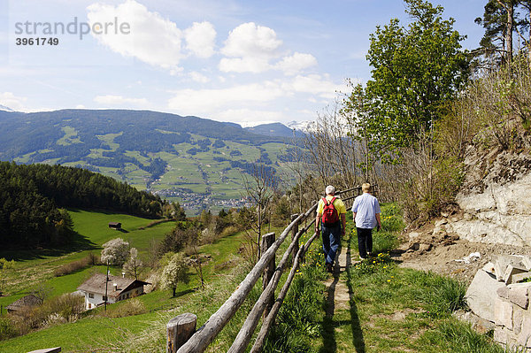 Wanderweg in Lajen  Eisacktal  Südtirol  Italien  Europa