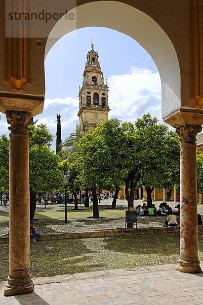 Vorhof  Patio de los Naranjos  Mezquita  ehemalige Moschee  heute Kathedrale  Cordoba  Andalusien  Spanien  Europa