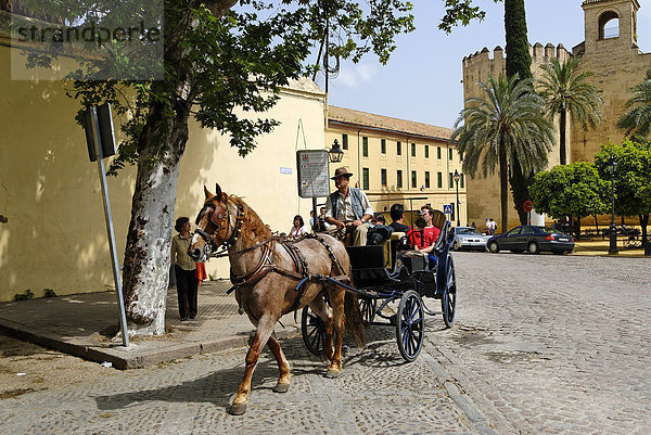 Pferdekutsche vor dem Alcazar  Cordoba  Andalusien  Spanien  Europa