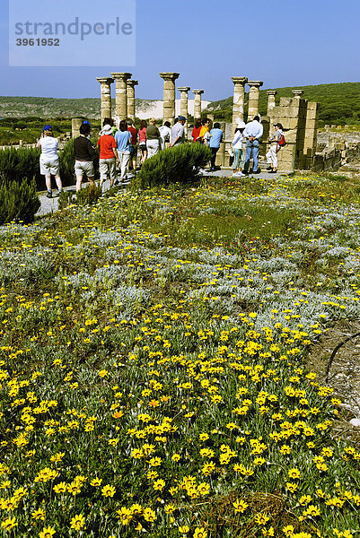 Forum  archäologischer Park Baelo Claudia bei Tarifa  Andalusien  Spanien  Europa