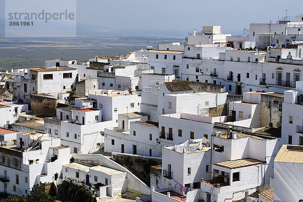 Weiß gestrichene Häuser der Altstadt  Vejer de la Frontera  Andalusien  Spanien  Europa