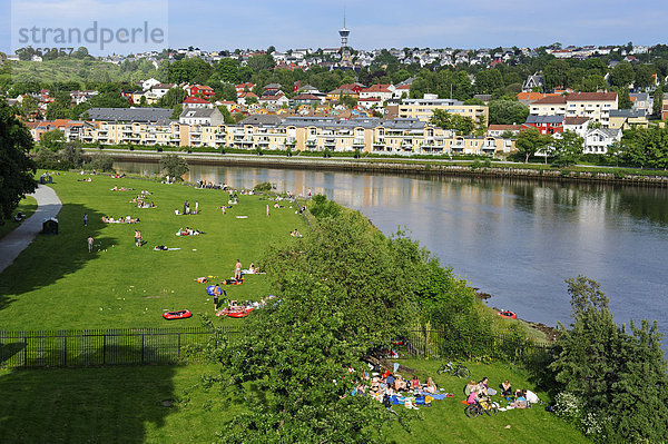 Nidelva  Trondheim  Norwegen  Skandinavien  Europa