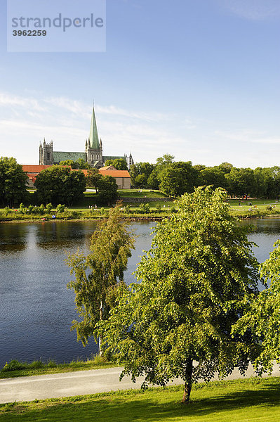 Nidarosdom über der Nidelva  Trondheim  Norwegen  Skandinavien  Europa