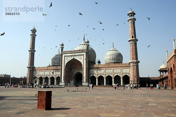 Teilansicht Jama Masjid  Freitagsmoschee  Delhi  Rajasthan  Nordindien  Asien