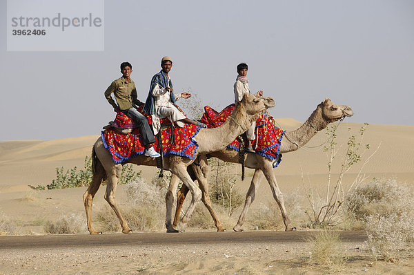 Kamelreiter bei den längsten Sanddünen Indiens  in Sam  Rajasthan  Nordindien  Asien